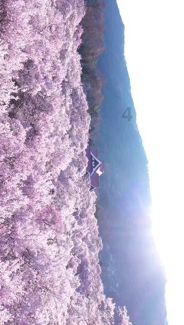 天下3